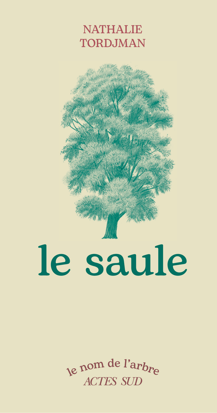 Le saule