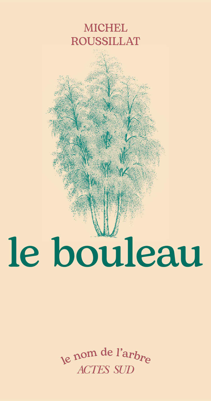 Le bouleau