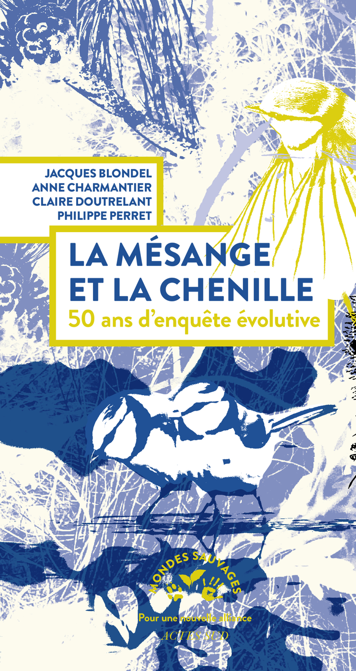 La mésange et la chenille