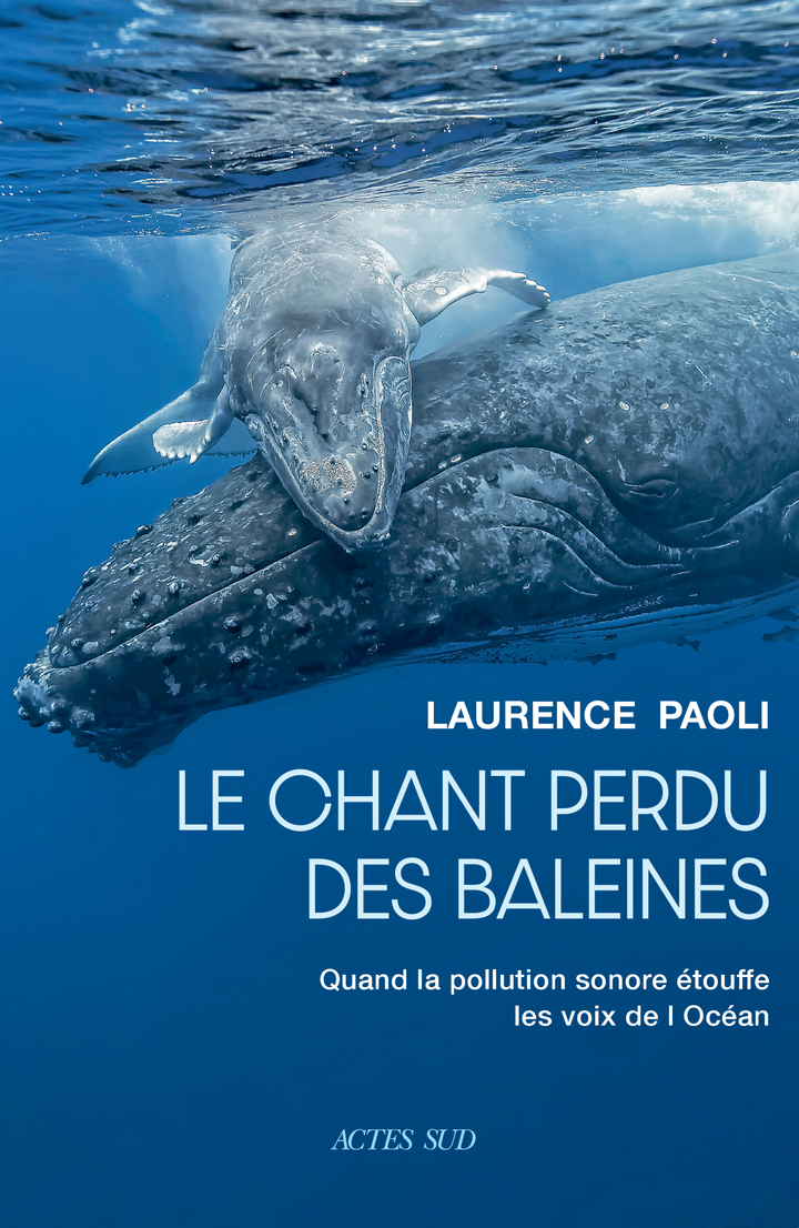 Le chant perdu des baleines