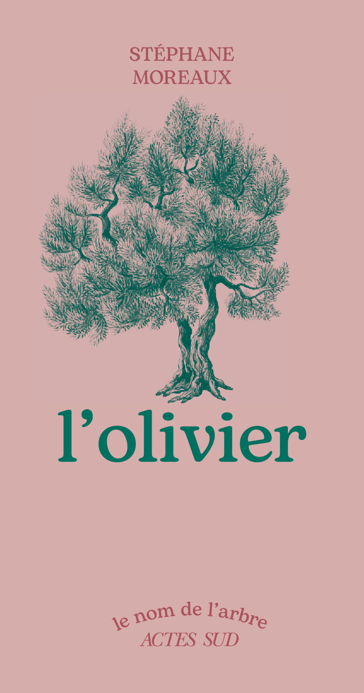 L'Olivier