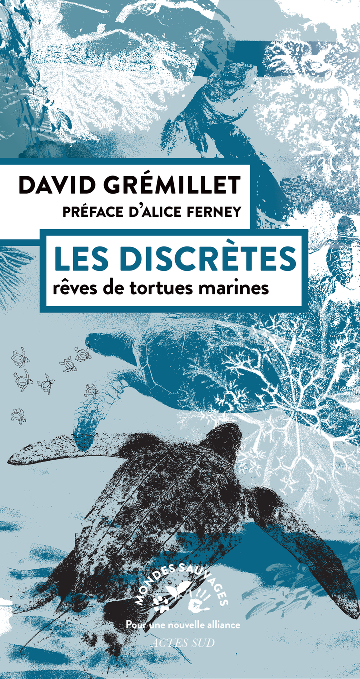 Les discrètes