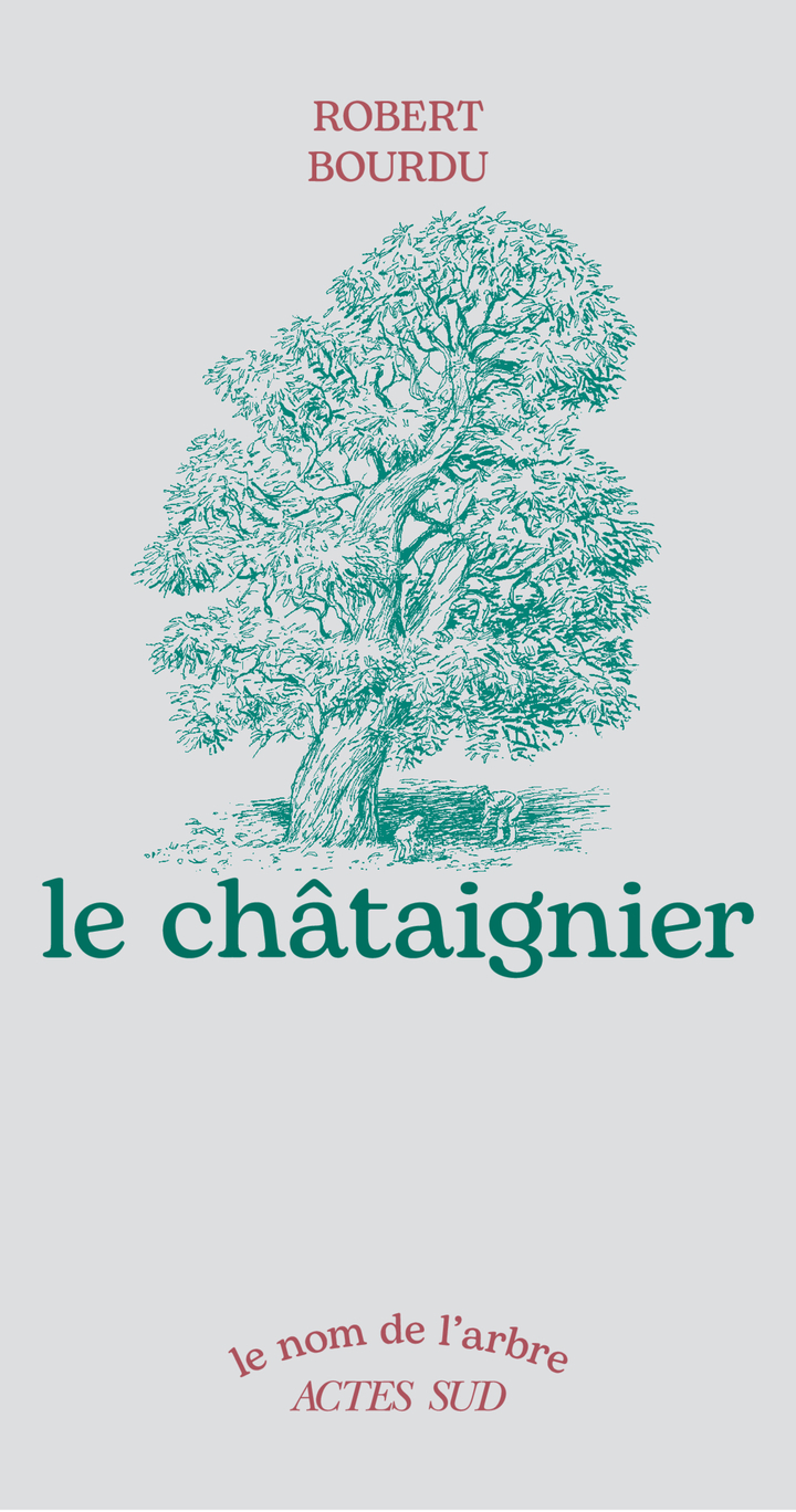 Le châtaignier
