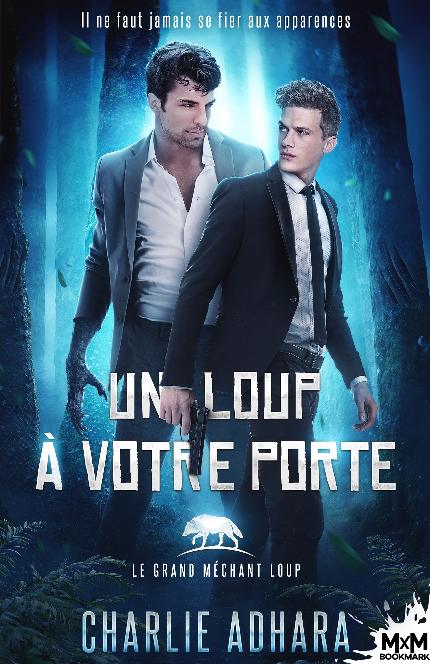 Un loup à votre porte