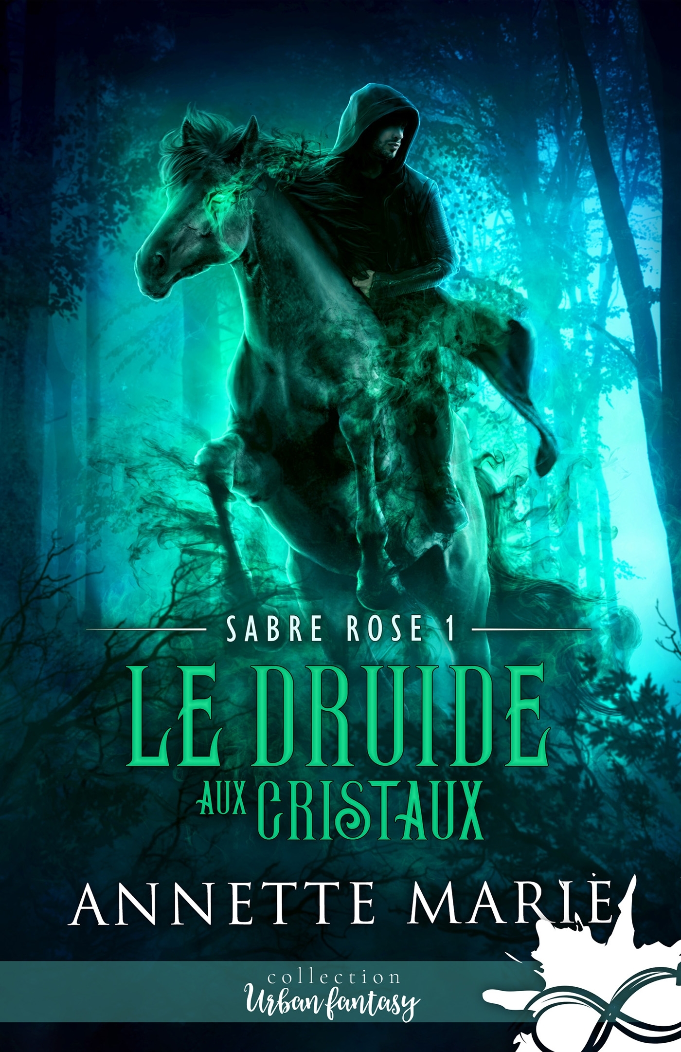 Le Druide aux cristaux