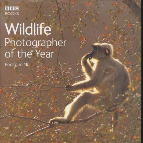 WILDLIFE PHOTOGRAPHER OF THE YEAR: PORTFOLIO 16