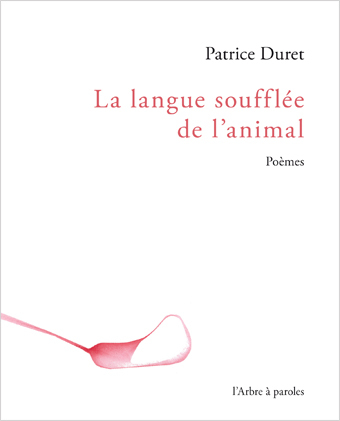 LA LANGUE SOUFFLEE DE L'ANIMAL