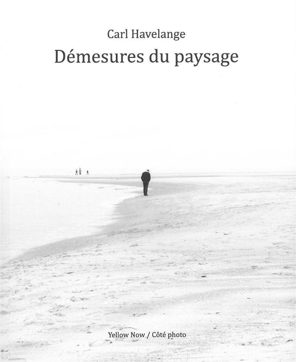 Demesures du Paysage