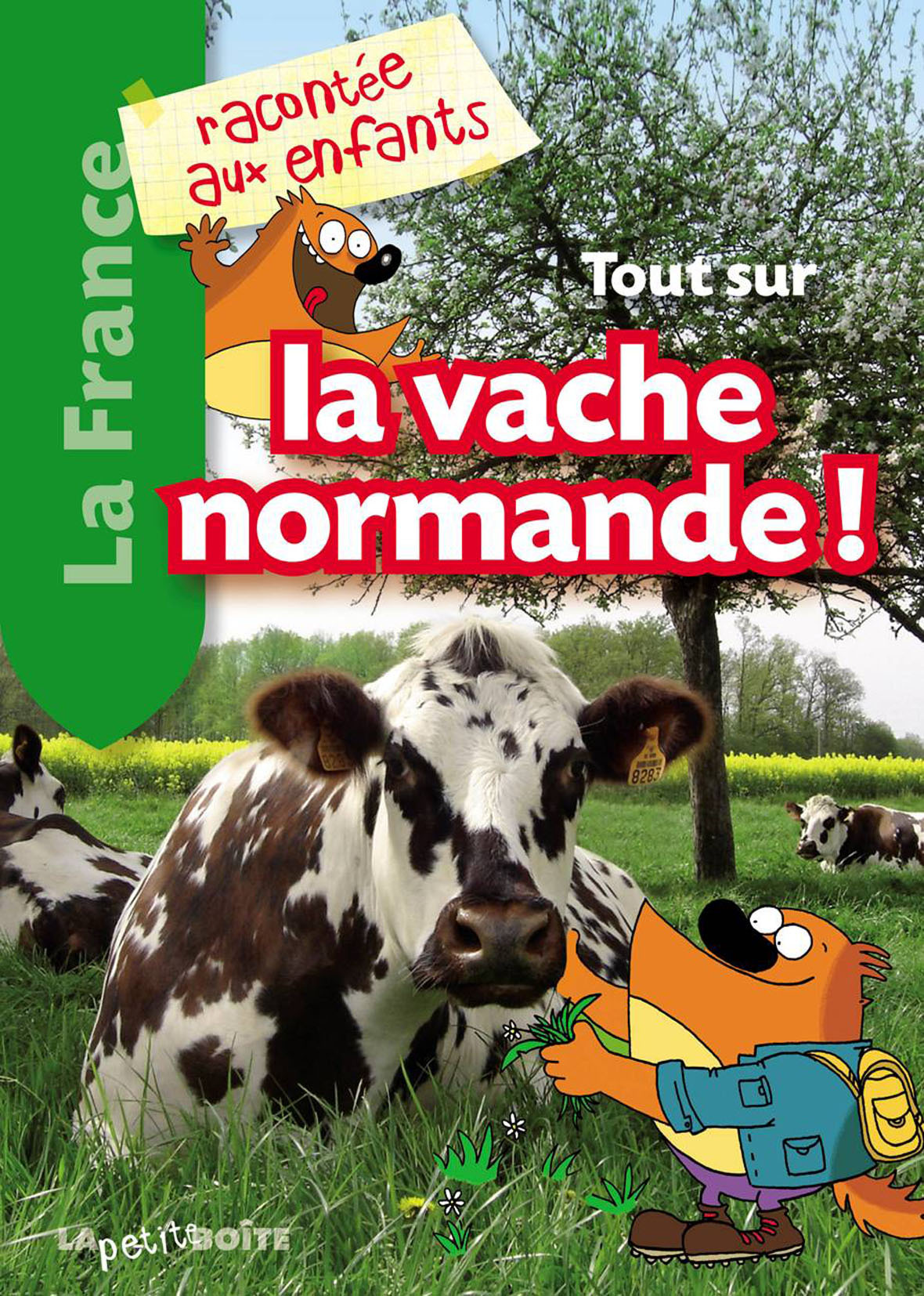 Tour sur la vache normande !