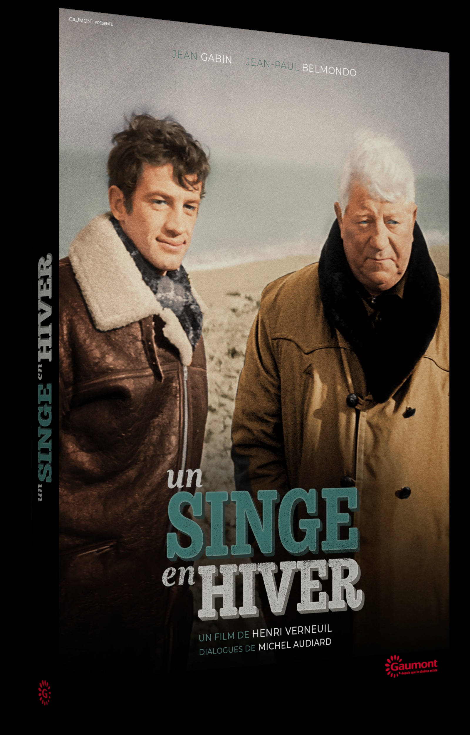 SINGE EN HIVER (UN) - GC DVD
