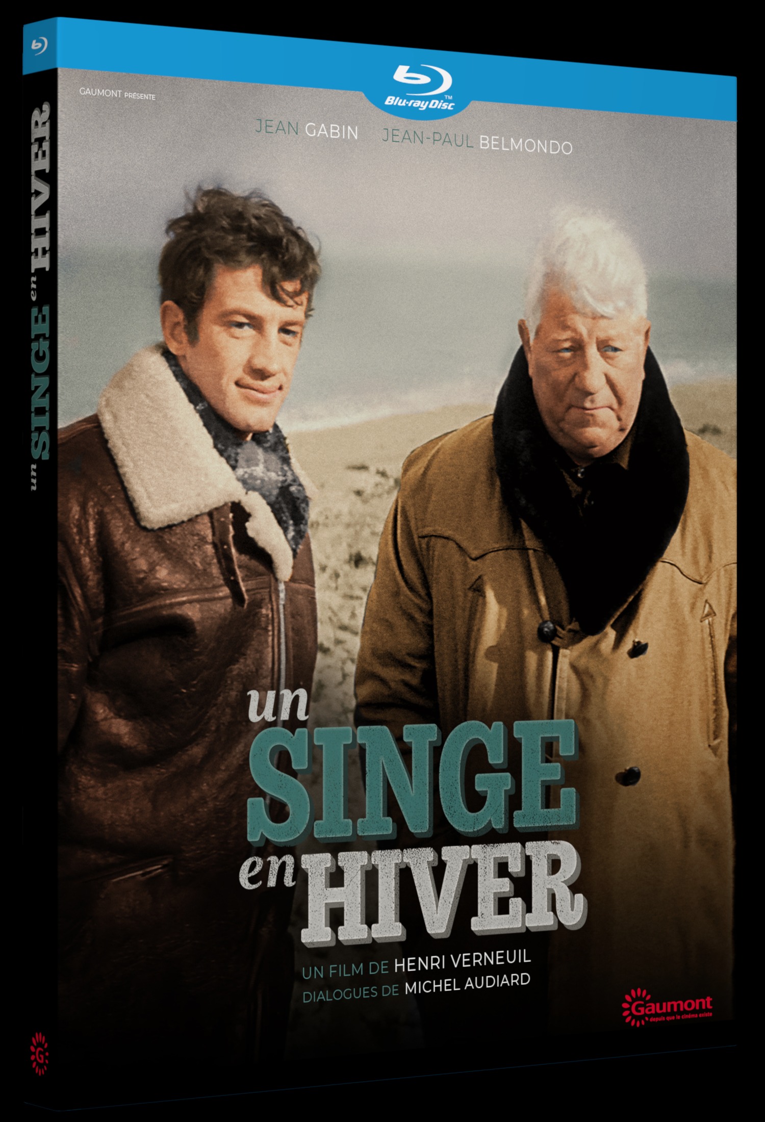 SINGE EN HIVER (UN) - GC BLU-RAY