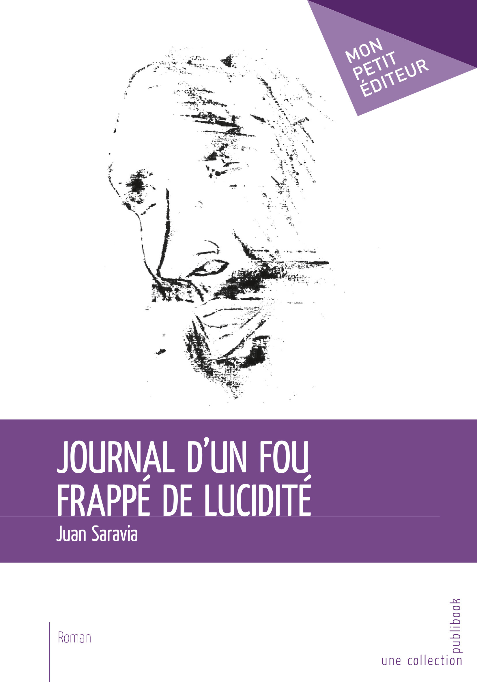 Journal d'un fou frappé de lucidité