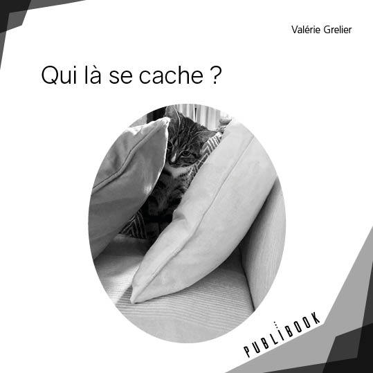 Qui là se cache ?