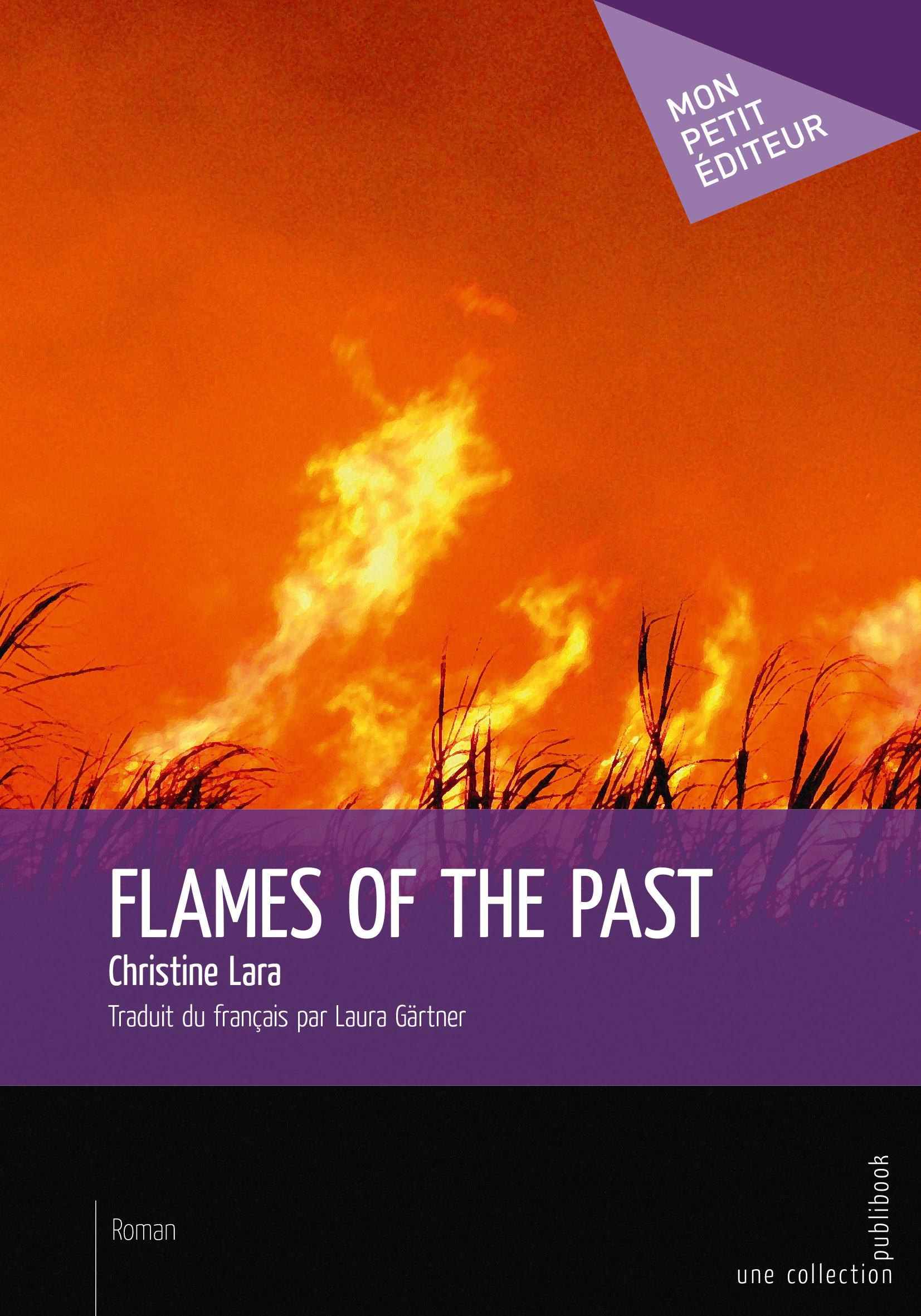 Flames of Past
