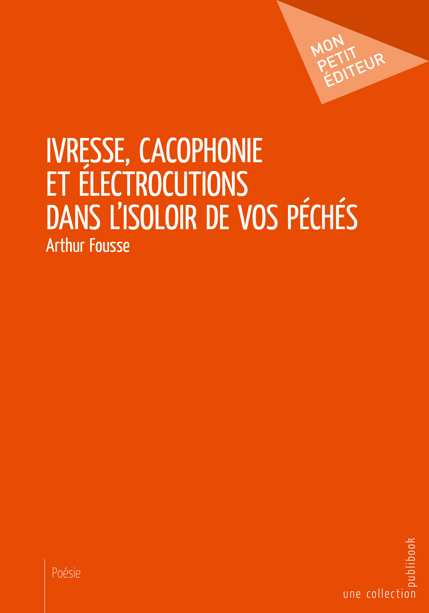 Ivresse, Cacophonie et Électrocutions, dans l'isoloir de vos péchés