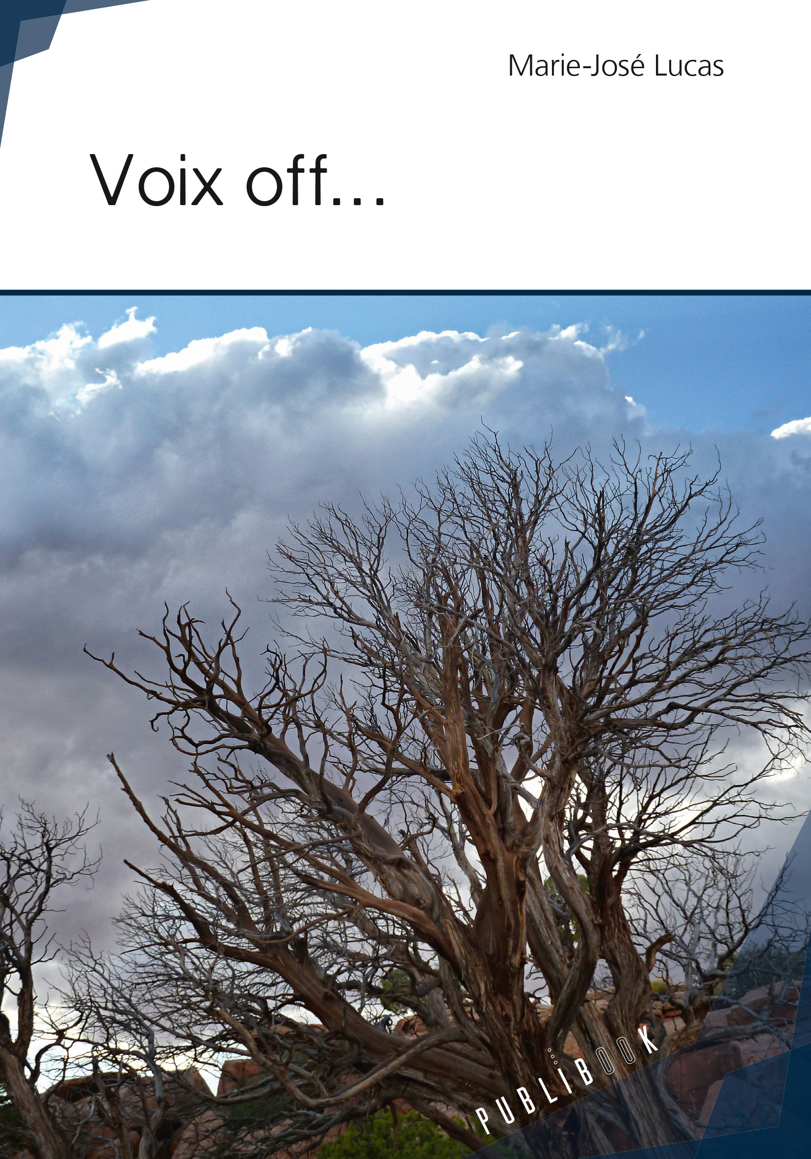 Voix off