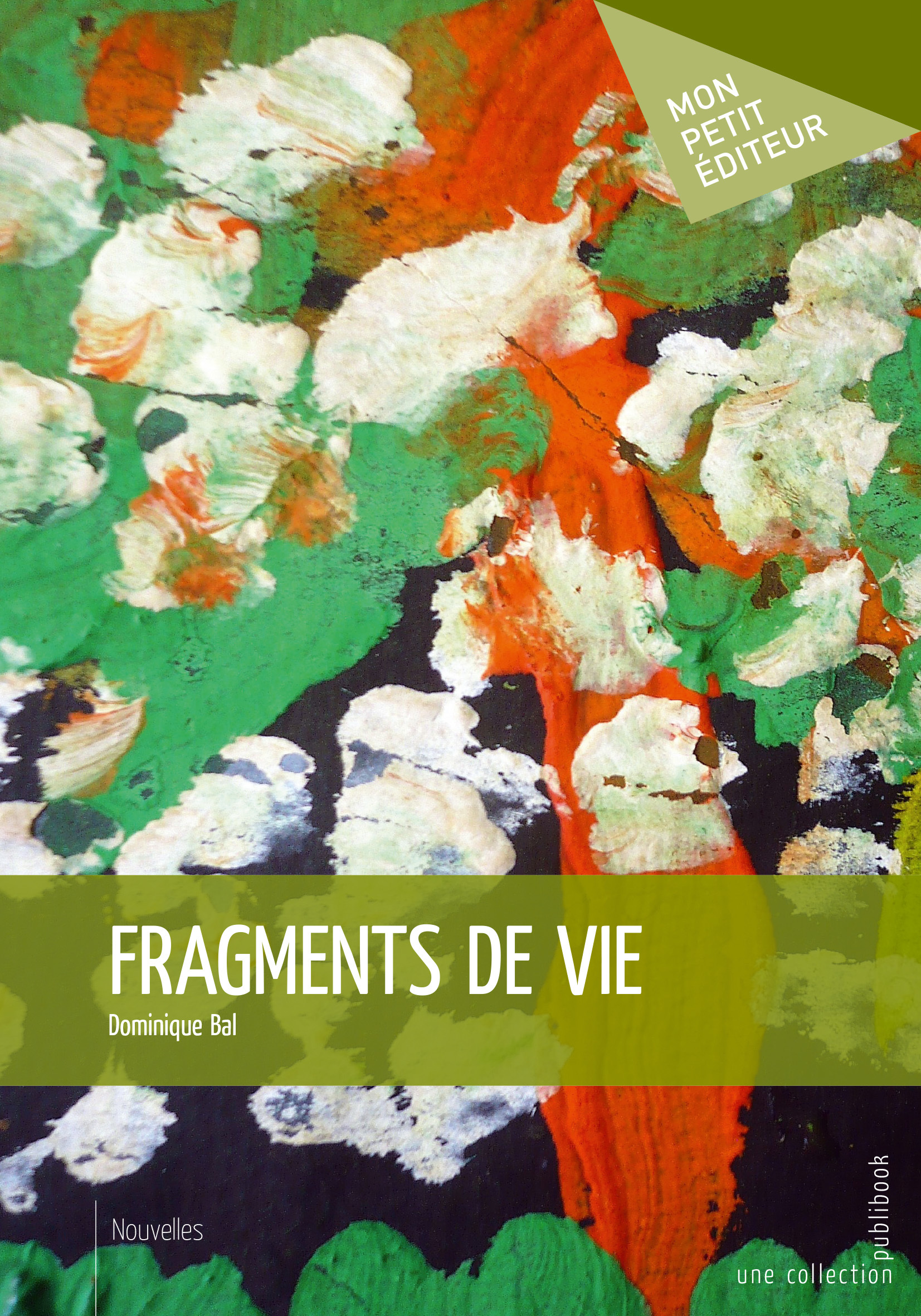 Fragments de vie