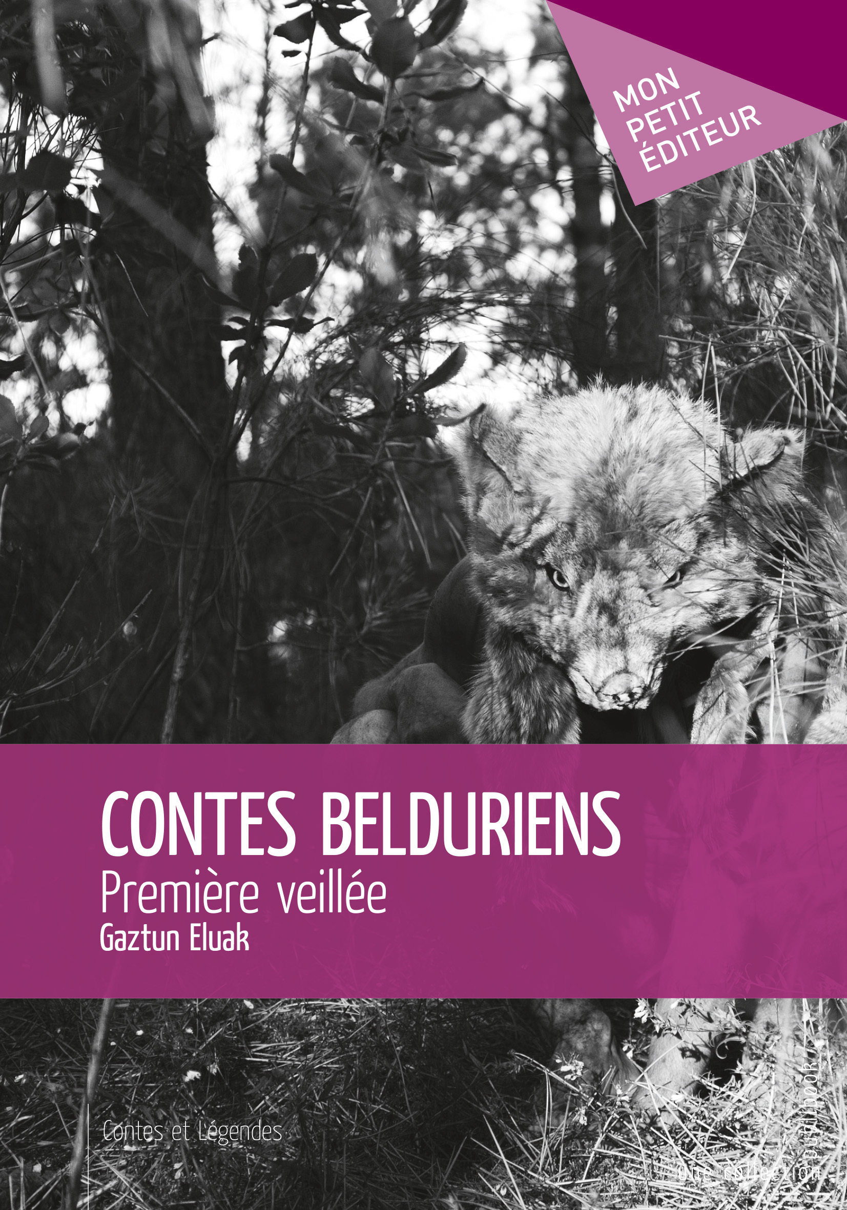 Contes belduriens - première veillée