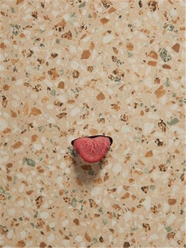 Mika Rottenberg /anglais