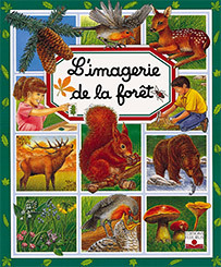 L'imagerie de la forêt