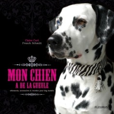 MON CHIEN A DE LA GUEULE