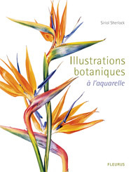 ILLUSTRATIONS BOTANIQUES A L'AQUARELLE