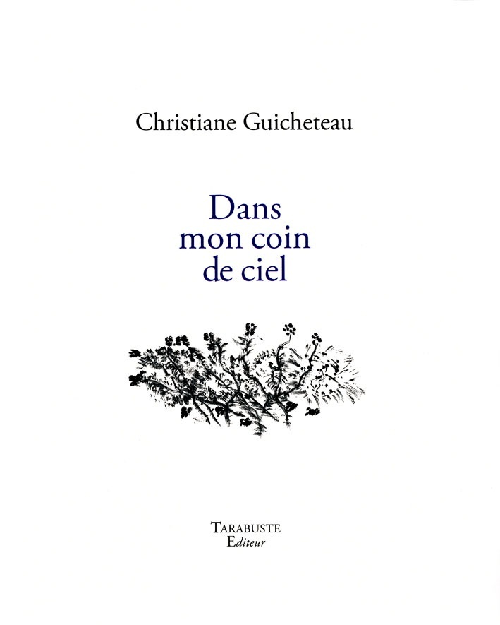 DANS MON COIN DE CIEL - Christiane Guicheteau