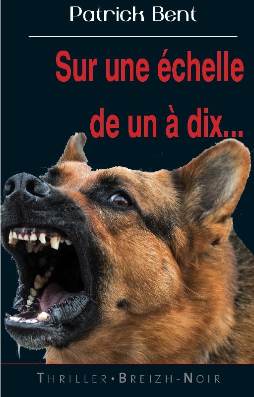 SUR UNE ÉCHELLE DE UN À DIX...