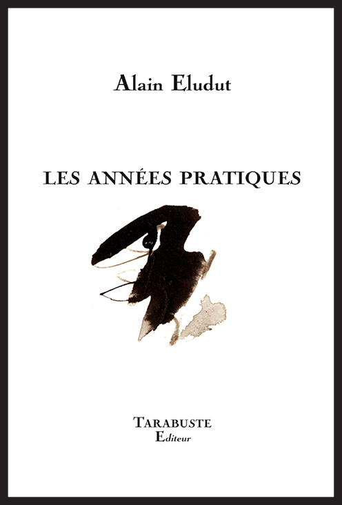 LES ANNEES PRATIQUES - Alain Eludut