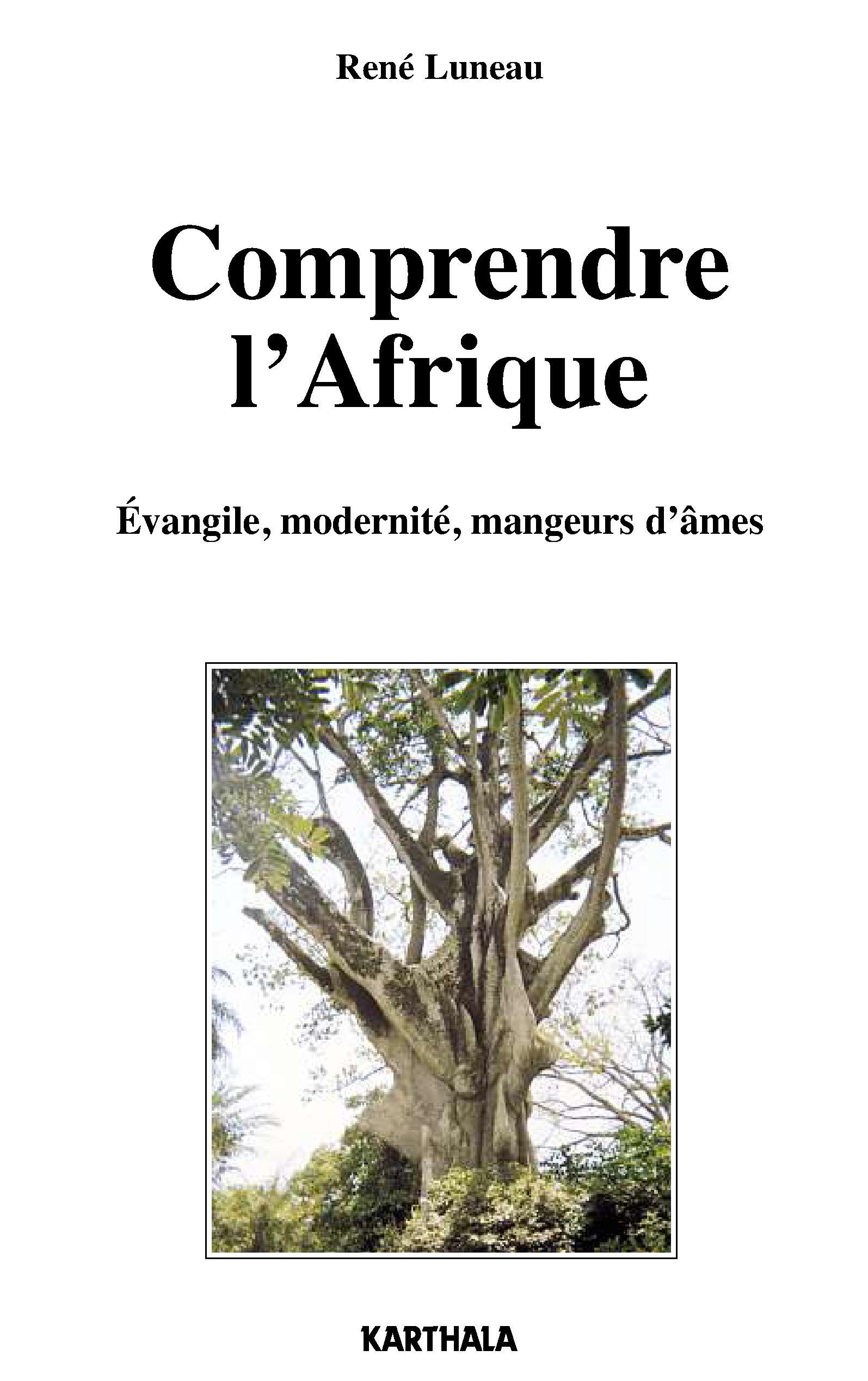 Comprendre l'Afrique - Évangile, modernité, mangeurs d'âme