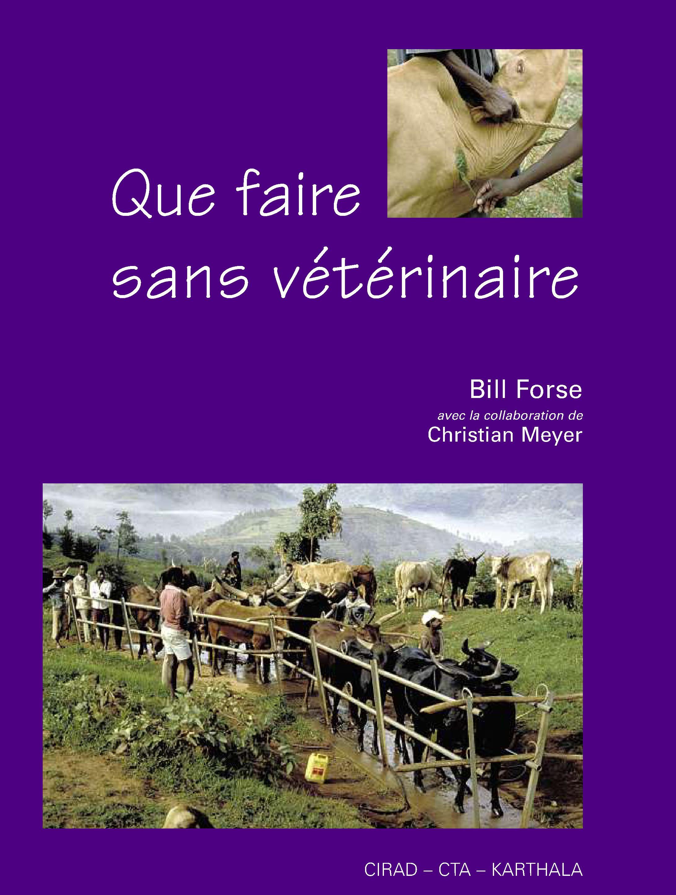 QUE FAIRE SANS VETERINAIRE