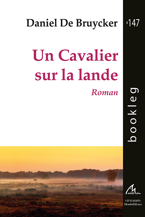 Un cavalier sur la lande