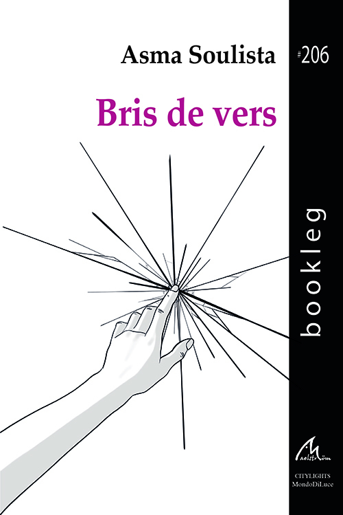 Bris de vers