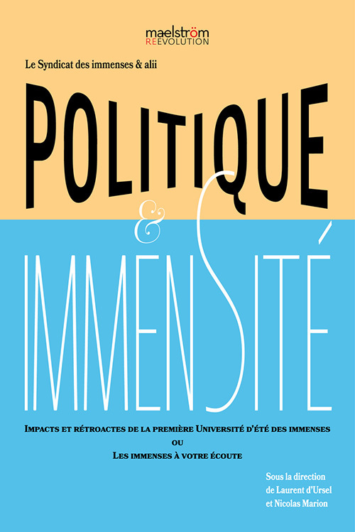 Politique & Immensité