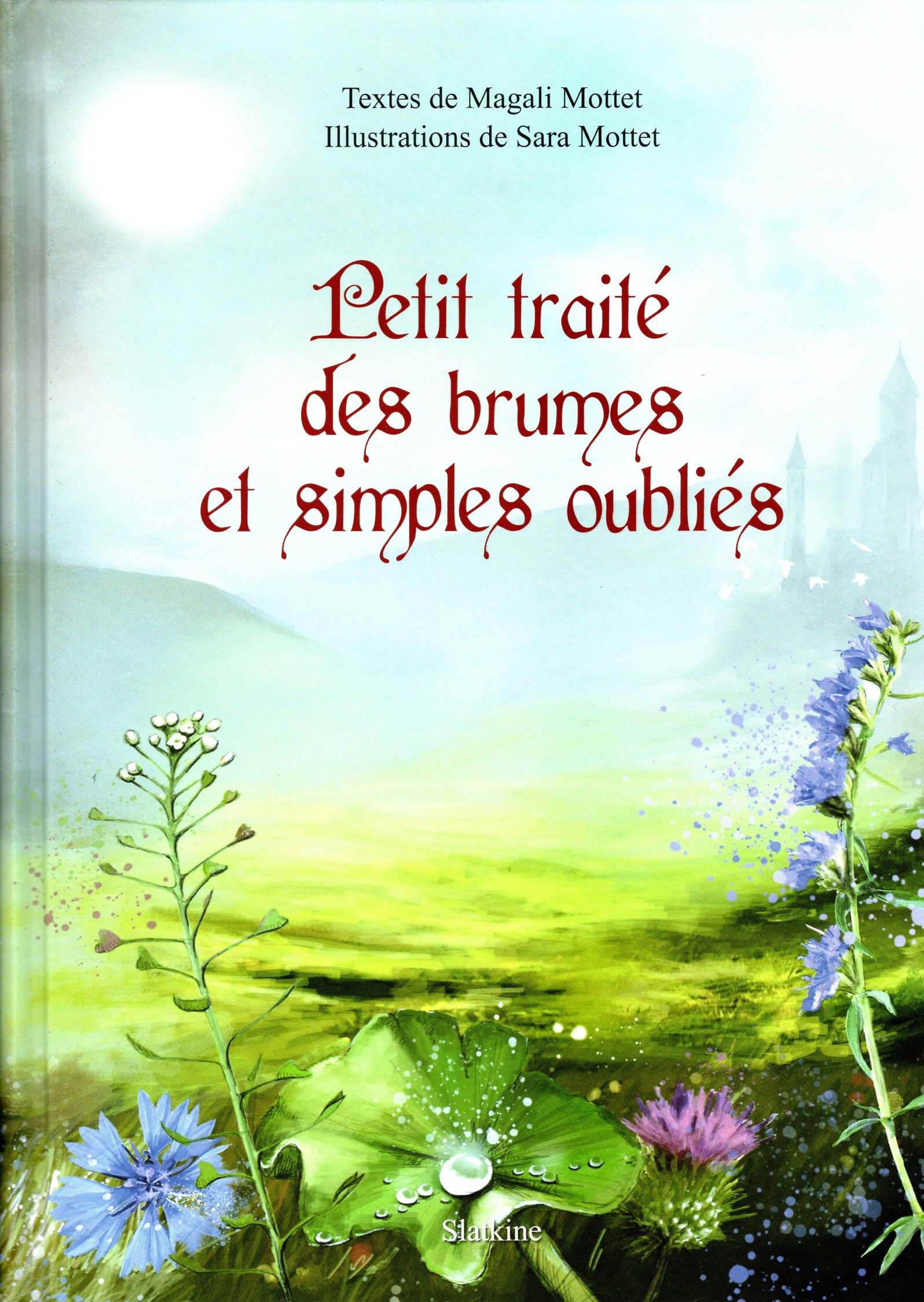 PETIT TRAITE DES BRUMES ET SIMPLES OUBLIES