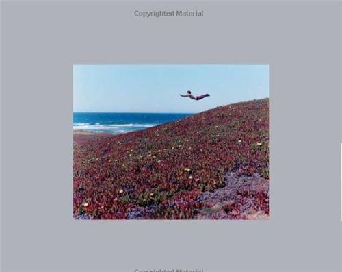 Flying Pictures /anglais