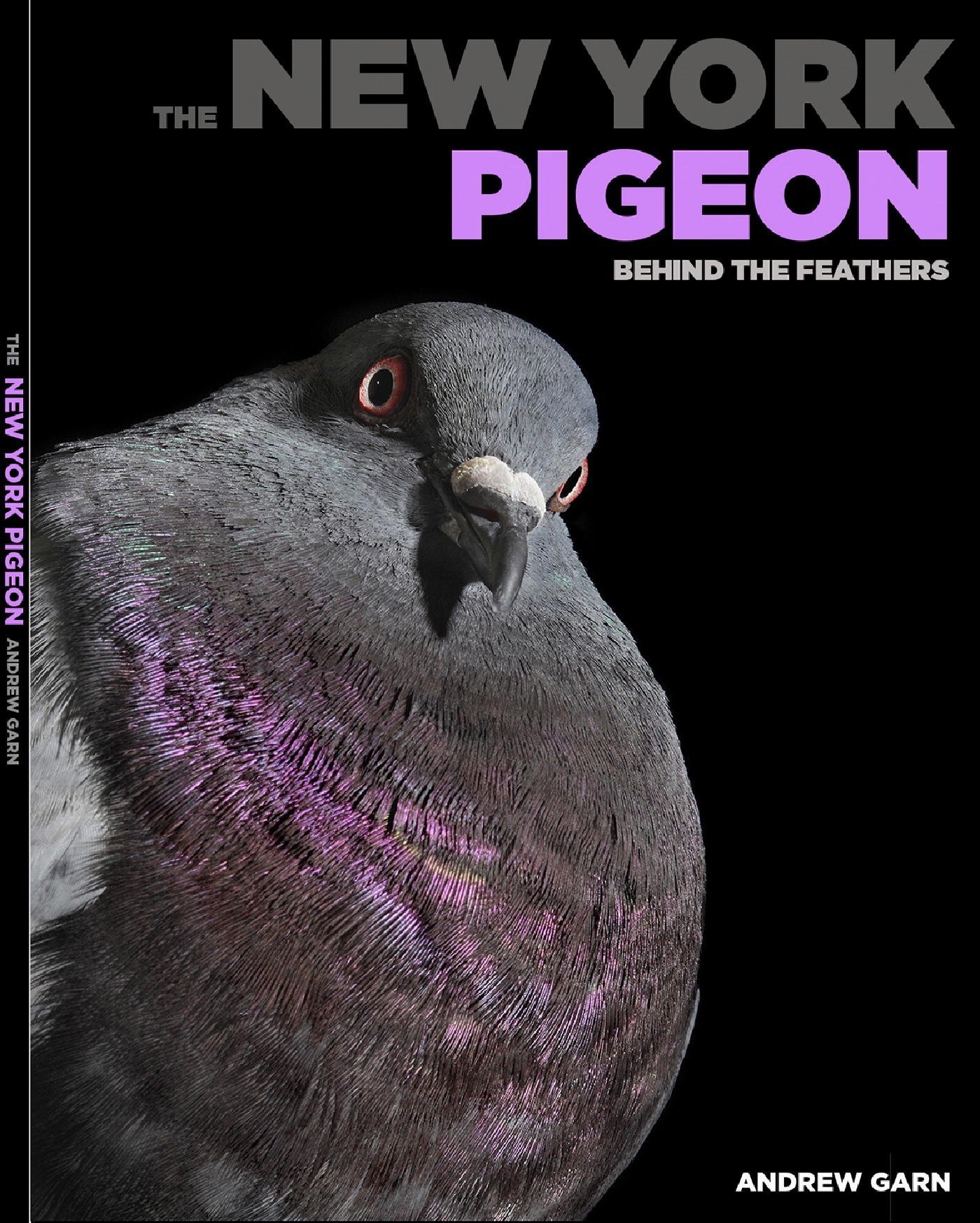 The New York Pigeon: Behind the Feathers /anglais