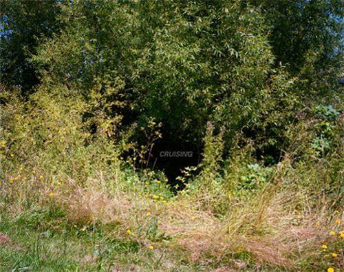 Chad States Cruising /anglais