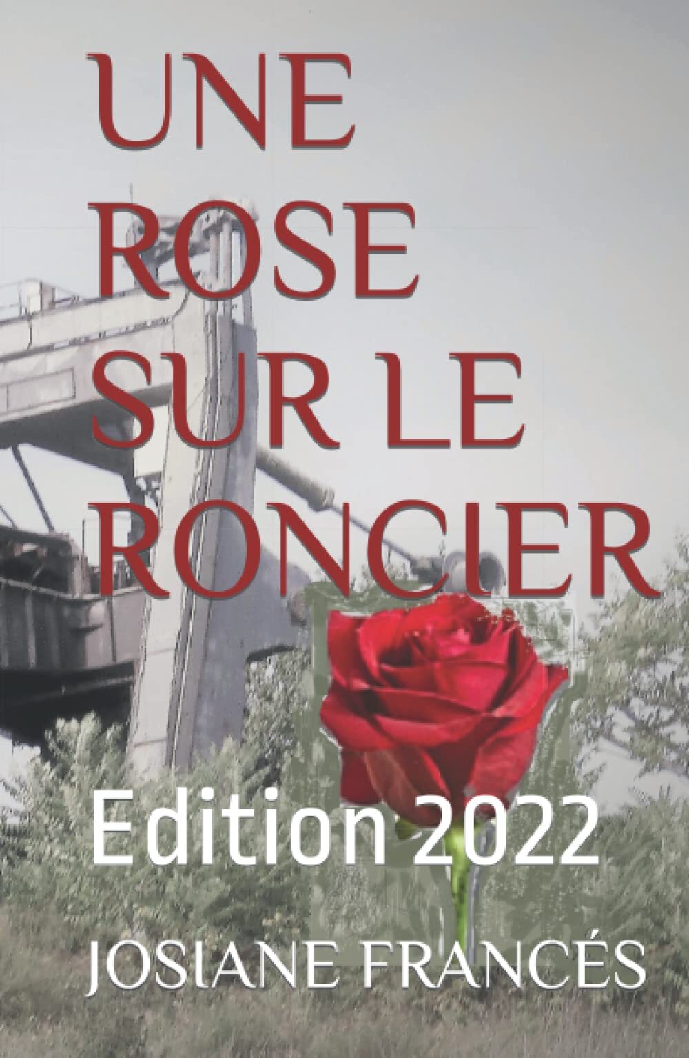 UNE ROSE SUR LE RONCIER