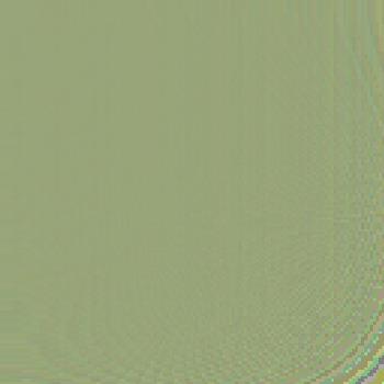 Family and friends 2nd edition level 4; classbook