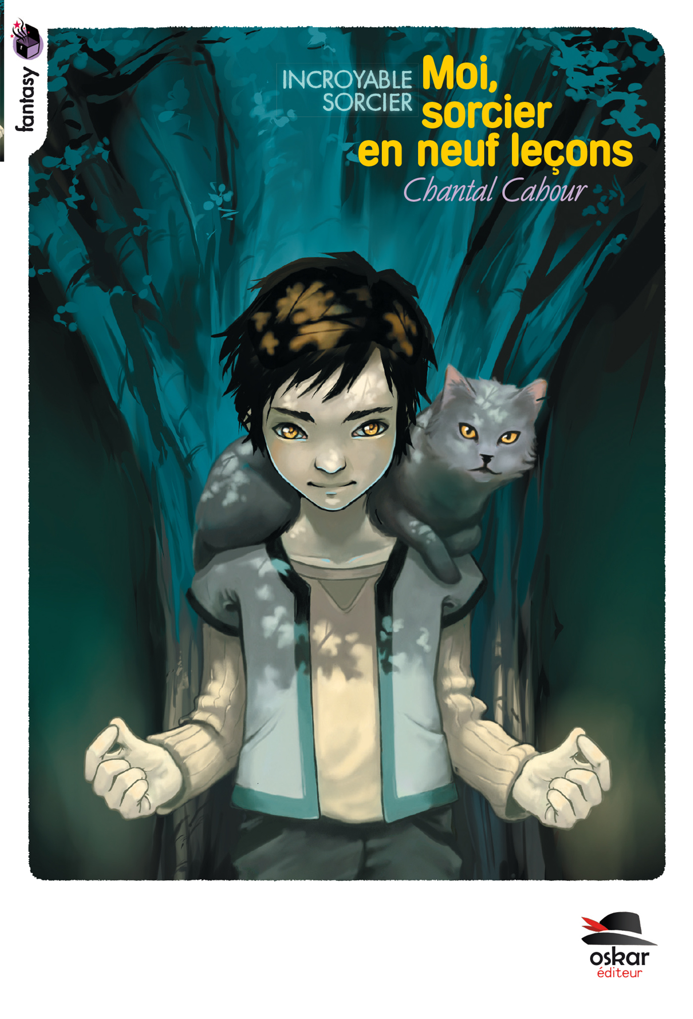 MOI, SORCIER EN NEUF LEÇONS