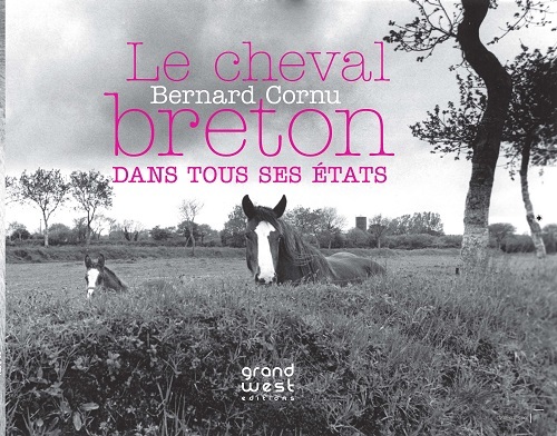 Le cheval breton dans tous ses états