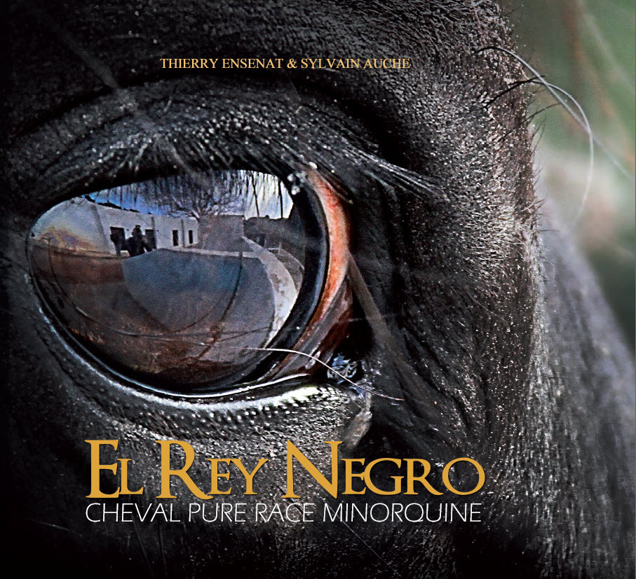 EL REY NEGRO : CHEVAL PURE RACE MINORQUINE