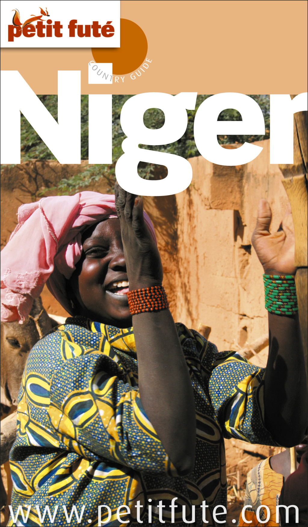 Guide Niger 2011 Petit Futé