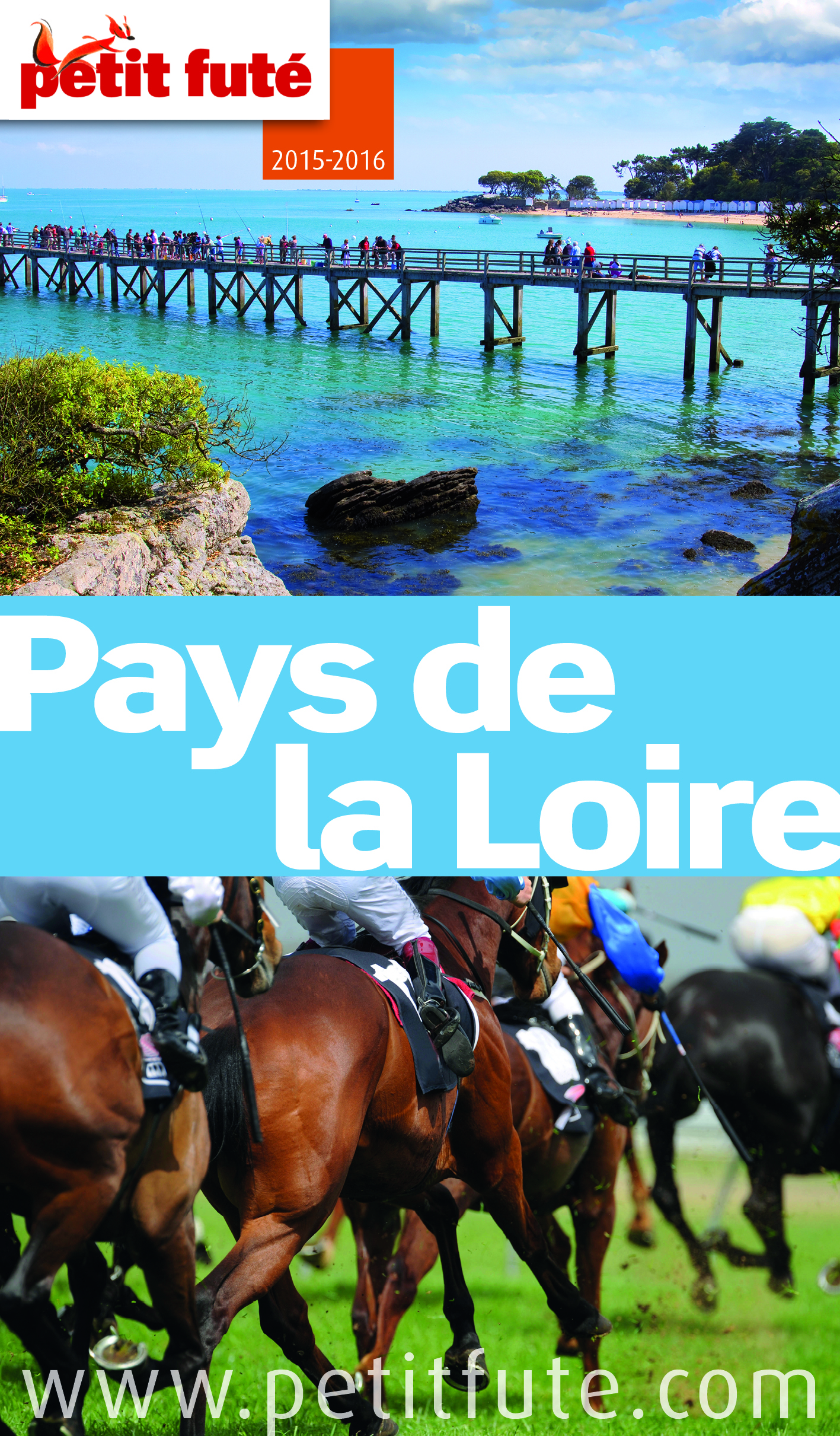 PAYS DE LA LOIRE 20145PETIT FUTE + NUMERIQUE OFFERT