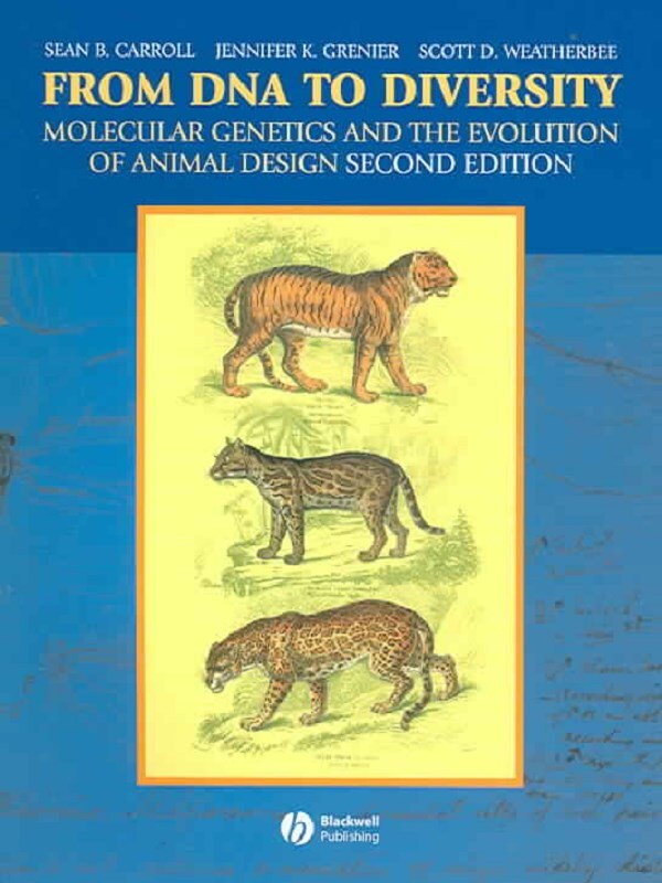 From DNA to Diversity