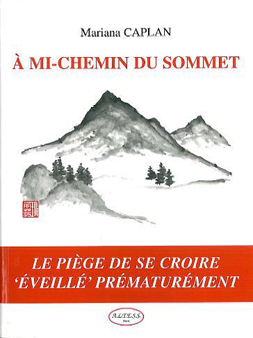 À mi-chemin du sommet