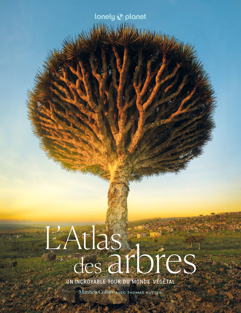 L'Atlas des arbres - Un incroyable tour du monde végétal