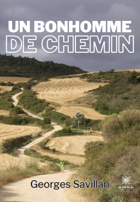 Un bonhomme de chemin