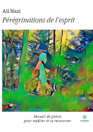 Pérégrinations de l'esprit